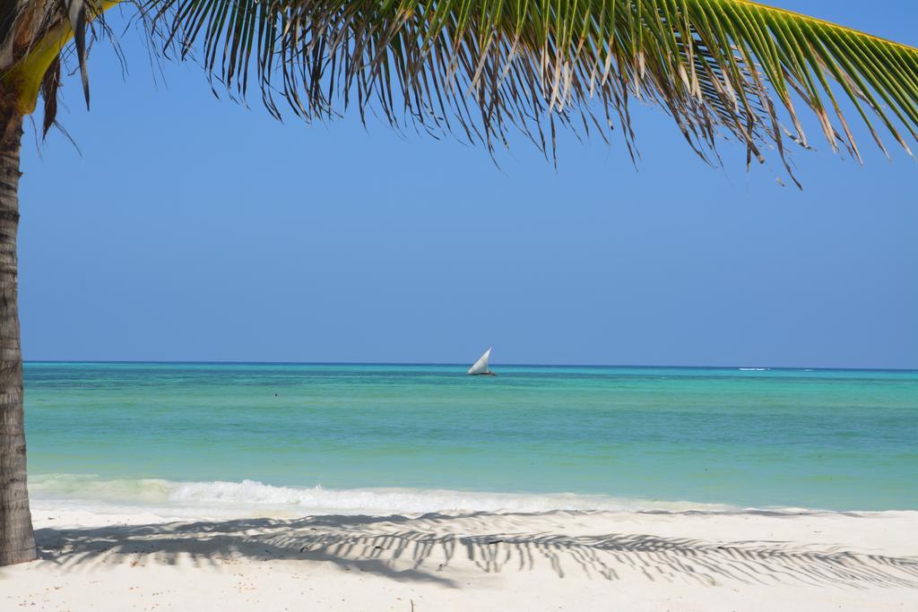 Tanzanie - Zanzibar - Hôtel Neptune Pwani Beach Resort & Spa 5* et Safari 2 Nuits