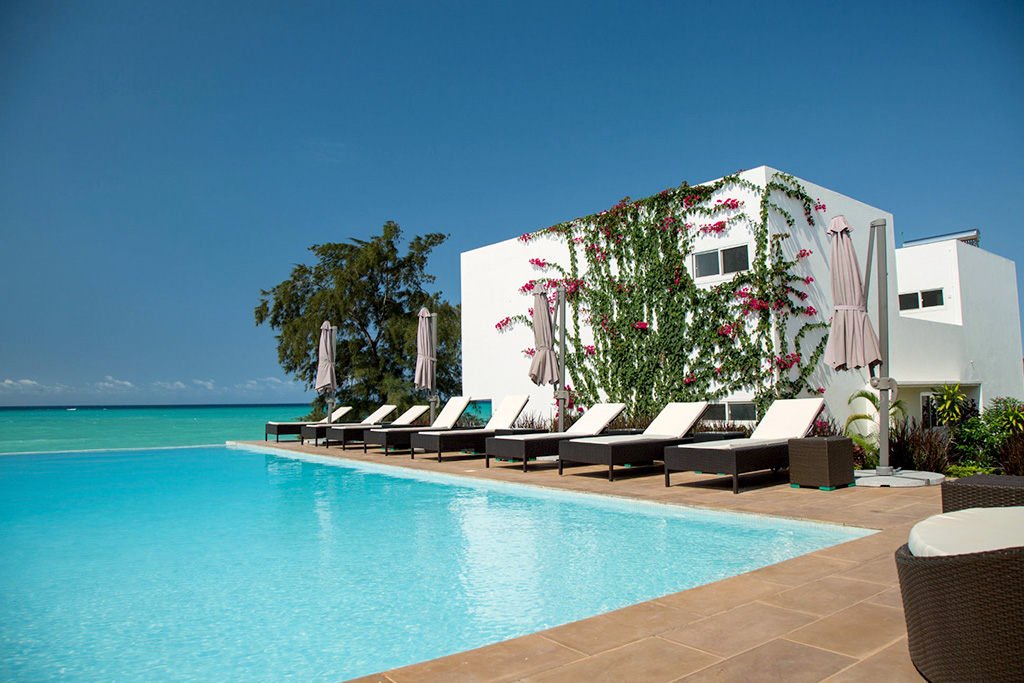 Nungwi Dreams By Mantis