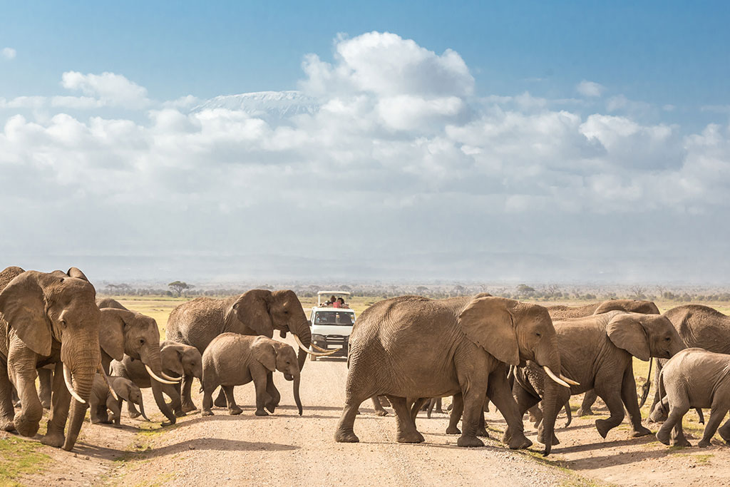 Combiné Ôclub Select Diamonds Malindi 5* + Safari Kudu Camp 2 nuits, Séjour Kenya par Ôvoyages