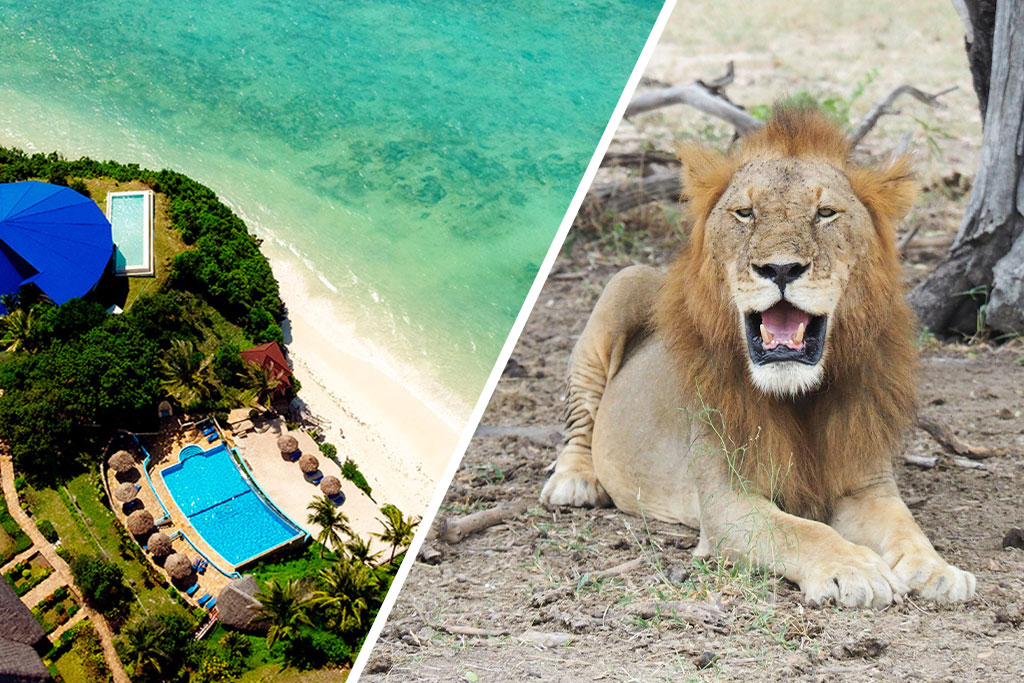 Ôclub Zen Pearl Beach Resort Zanzibar 4* + Safari 2 Nuits