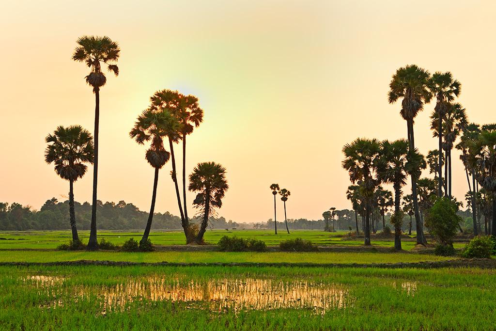Circuit Secrets du Laos & du Cambodge & Plage 4*/5*, Circuit Cambodge par Ôvoyages Circuit Secrets du Laos & du Cambodge & Plage 4*/5*, Circuit Cambodge par Ôvoyages