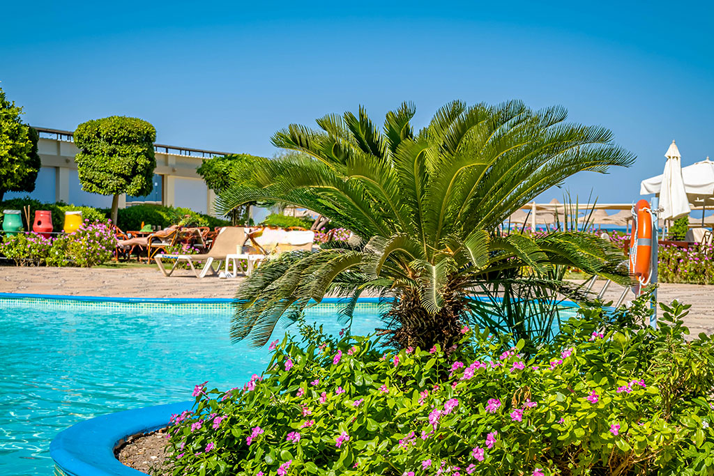 Smart club Magic Beach Hotel 4*, Séjour Egypte, Hurghada par Ôvoyages Smart club Magic Beach Hotel 4*, Séjour Egypte, Hurghada par Ôvoyages