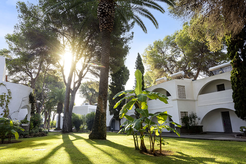 Hôtel TUI MAGIC LIFE Cala Pada 4*