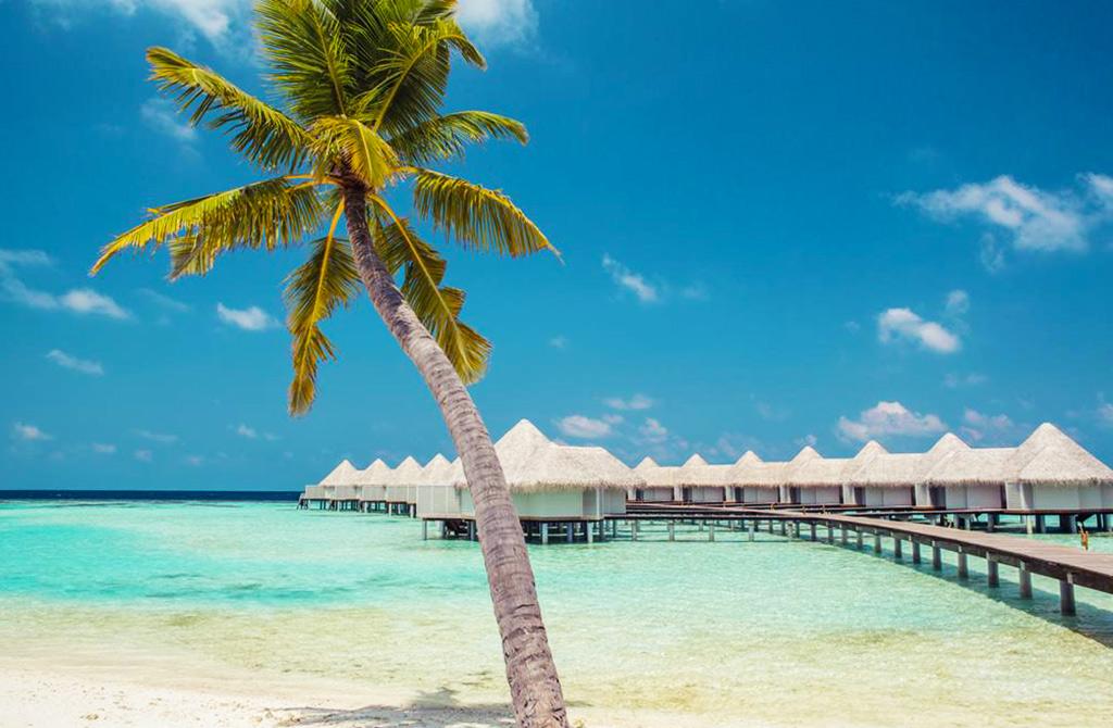 Maldives - Hôtel Drift Thelu Veliga Retreat 4* Adult Only 12+
