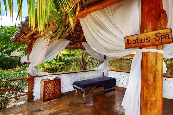 Tanzanie - Zanzibar - Hôtel White Paradise + Safari 2 nuits