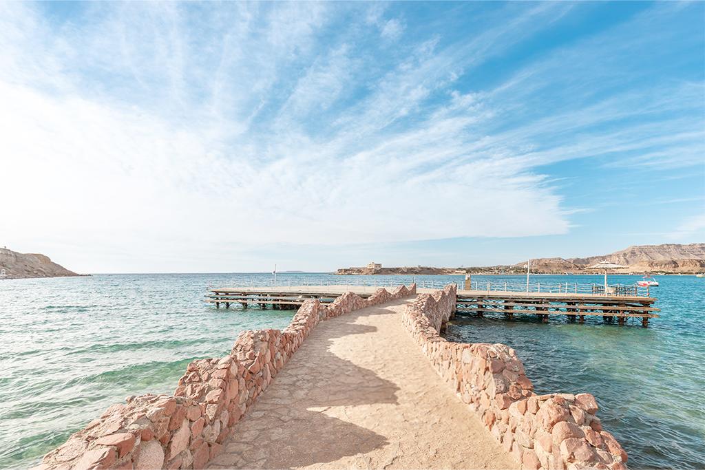 Egypte - Mer Rouge - Sharm El Sheikh - Hotel Albatros Sharm Resort by Pickalbatros 4*