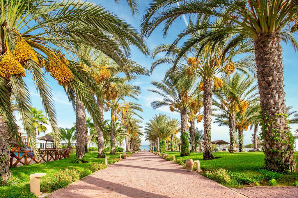 Tunisie - Djerba - Hôtel Club Palm Azur 4*