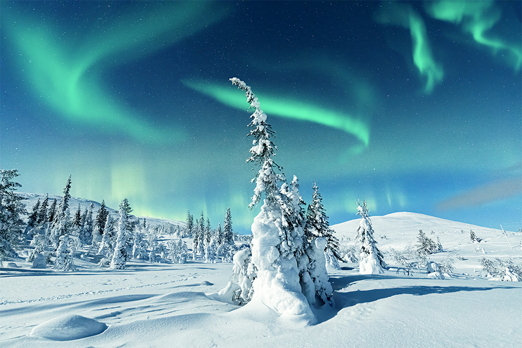 Hôtel Levi Spa Resort (3 activités immersives incluses)