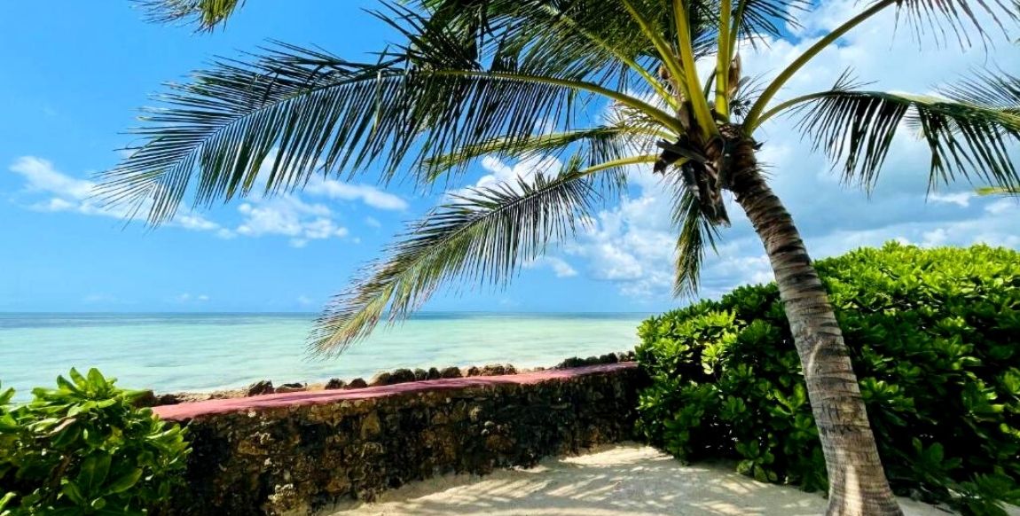 Tanzanie - Zanzibar - Hôtel Palumboreef Beach Resort 3* Sup