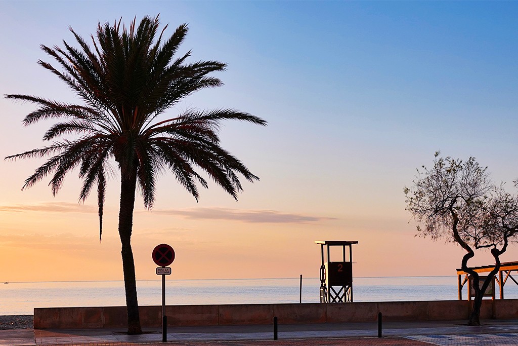 Baléares - Majorque - Espagne - Sentido Fido Tucan- Beach Hôtel 4* - Adult Only